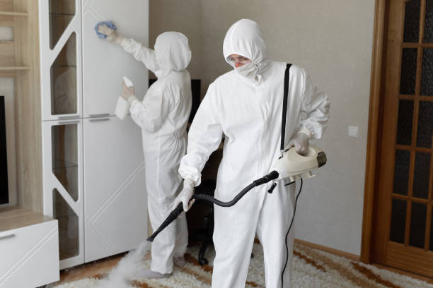 Mold Odor Removal Services in Lebanon, MO